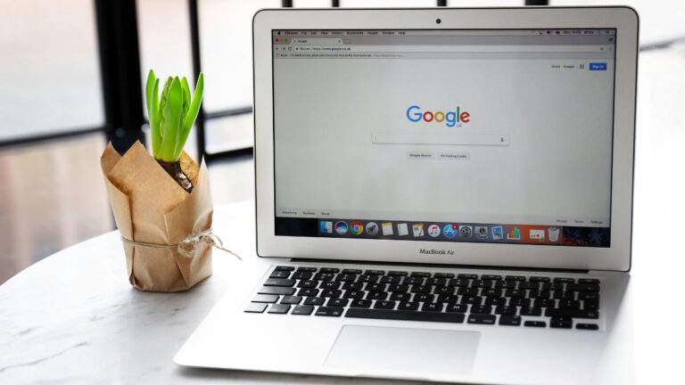 The 11 Known Google Business Profile Fields That Impact Your Rank